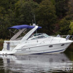 Doral Monticello 250 SE for sale By Boats Int. AB